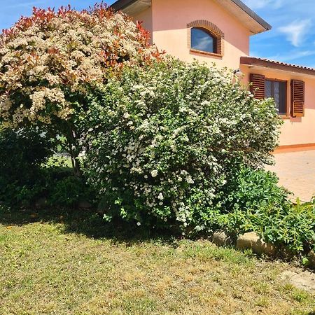 Montepulciano - La Casetta Del Pian Delle Noci Acquaviva  Exterior foto