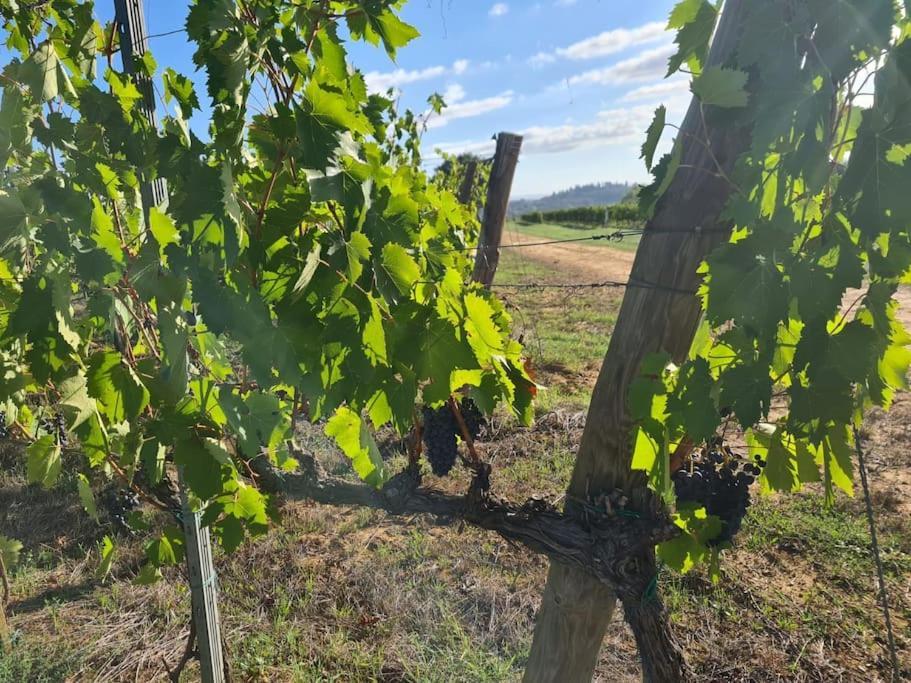 Montepulciano - La Casetta Del Pian Delle Noci Acquaviva  Exterior foto