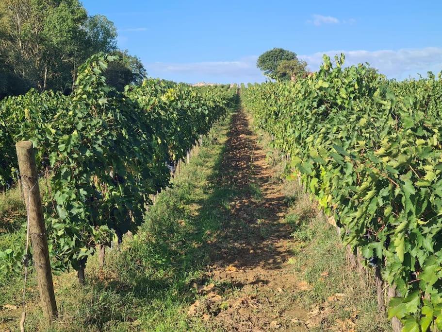 Montepulciano - La Casetta Del Pian Delle Noci Acquaviva  Exterior foto