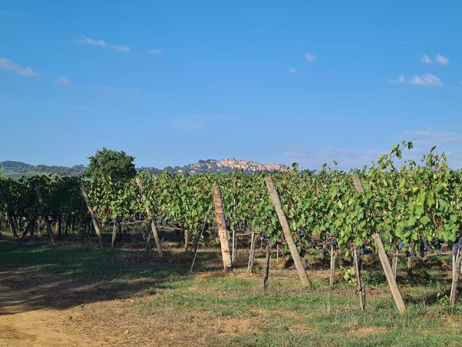 Montepulciano - La Casetta Del Pian Delle Noci Acquaviva  Exterior foto