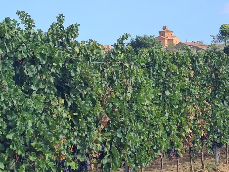 Montepulciano - La Casetta Del Pian Delle Noci Acquaviva  Exterior foto