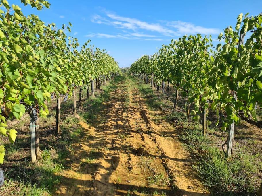 Montepulciano - La Casetta Del Pian Delle Noci Acquaviva  Exterior foto