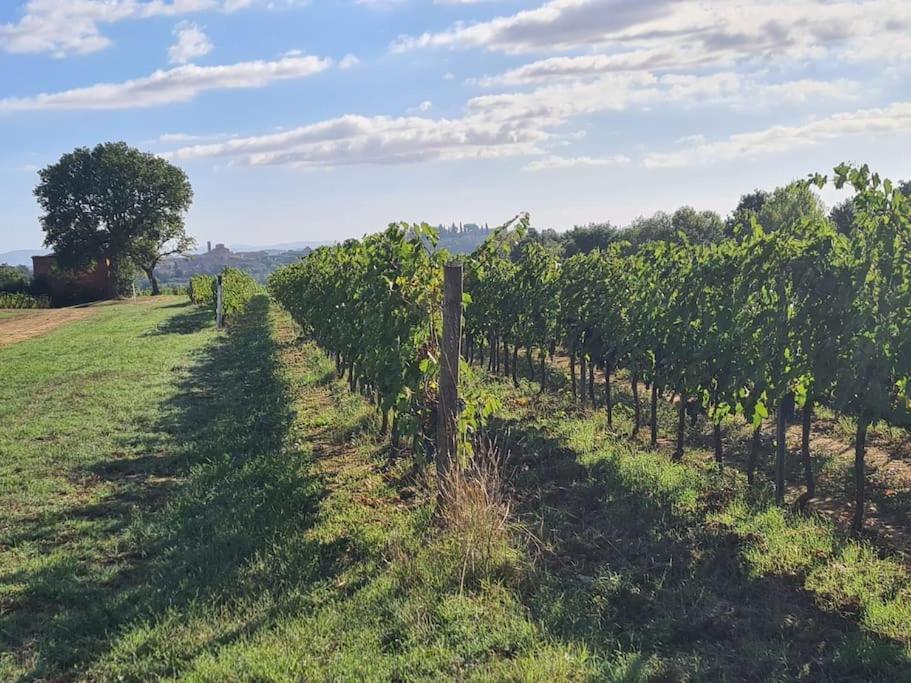 Montepulciano - La Casetta Del Pian Delle Noci Acquaviva  Exterior foto
