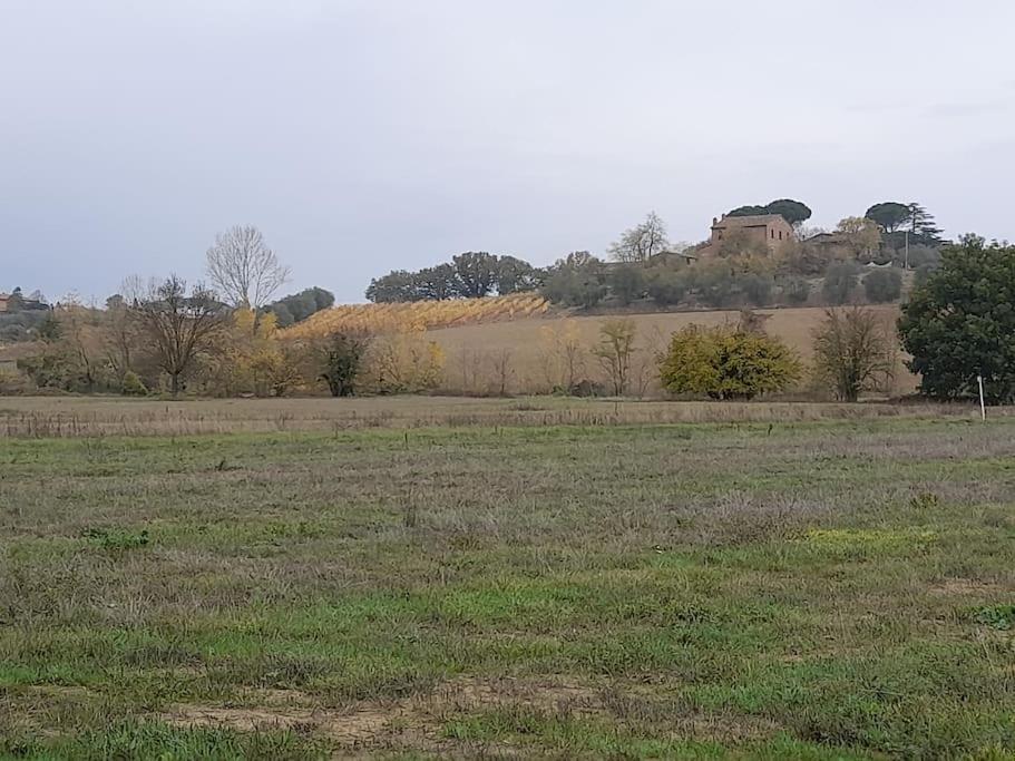 Montepulciano - La Casetta Del Pian Delle Noci Acquaviva  Exterior foto