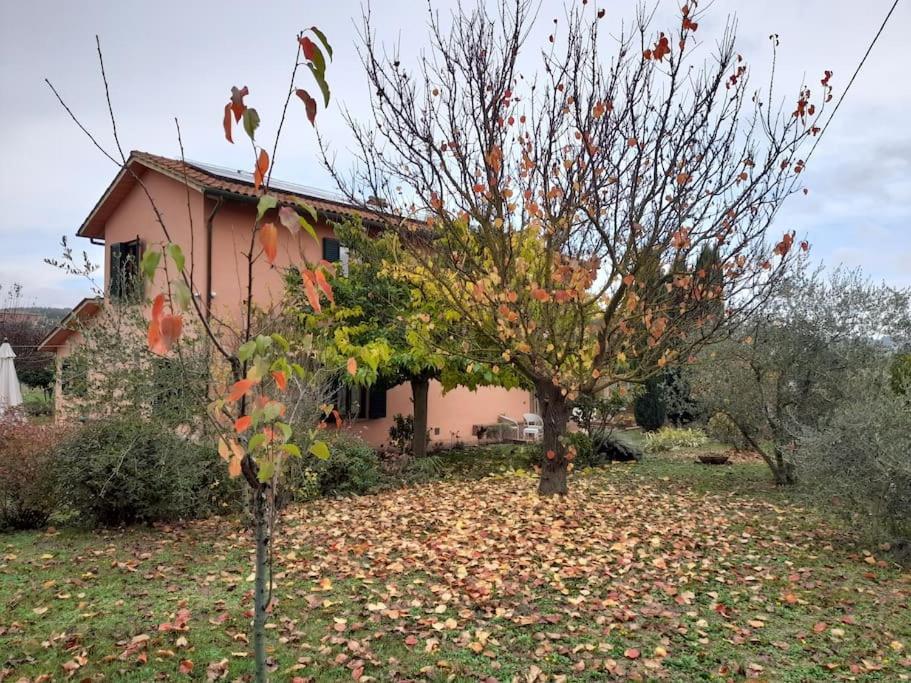 Montepulciano - La Casetta Del Pian Delle Noci Acquaviva  Exterior foto