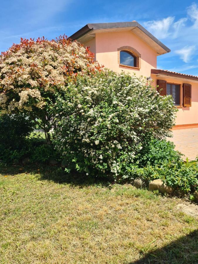 Montepulciano - La Casetta Del Pian Delle Noci Acquaviva  Exterior foto