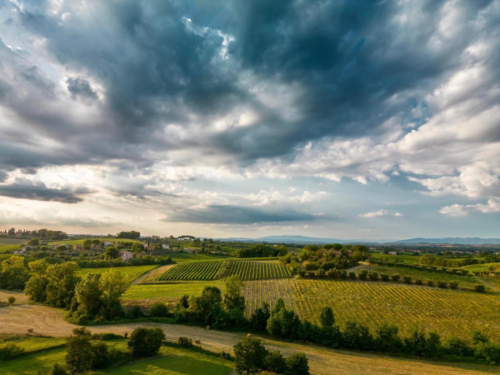 Montepulciano - La Casetta Del Pian Delle Noci Acquaviva  Exterior foto