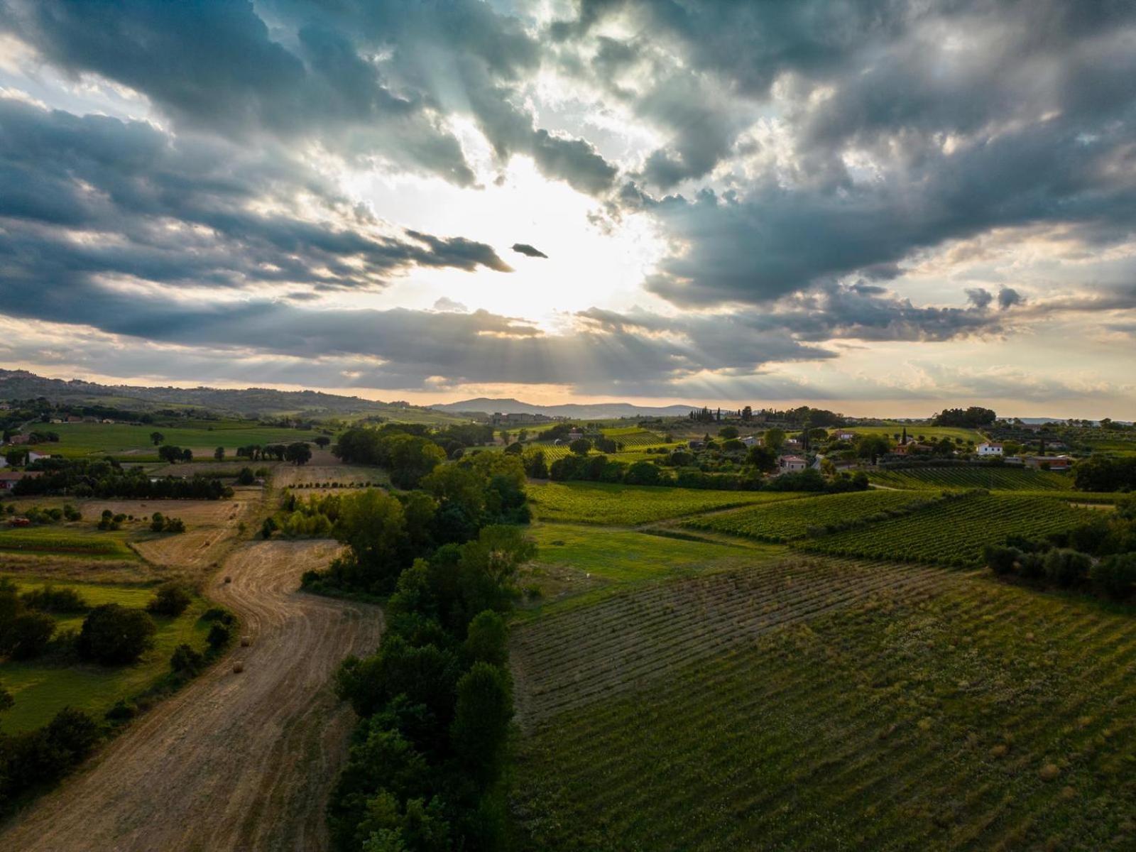 Montepulciano - La Casetta Del Pian Delle Noci Acquaviva  Exterior foto